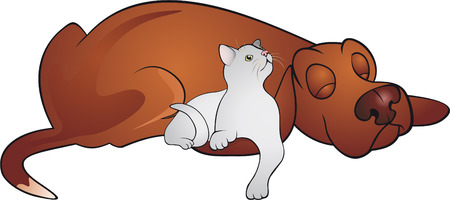 Cat and Dog のイラスト素材