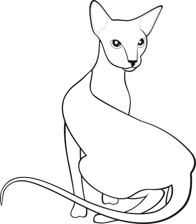 Cat のイラスト素材