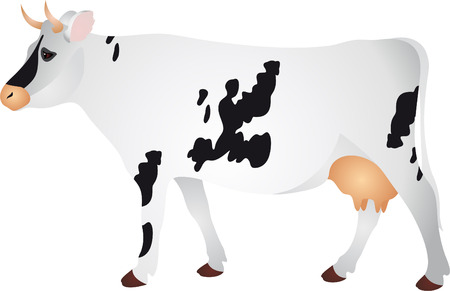 Cow のイラスト素材