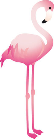 Flamingoのイラスト素材