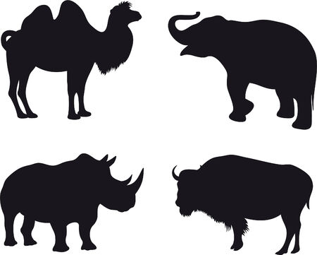Animalsのイラスト素材