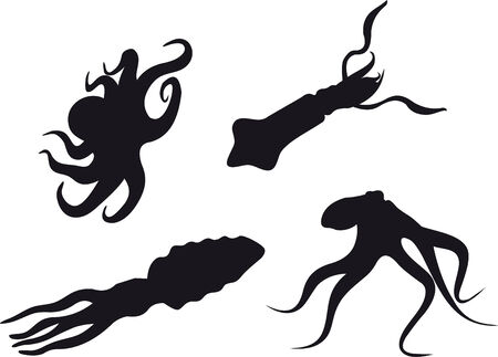 Marine life のイラスト素材
