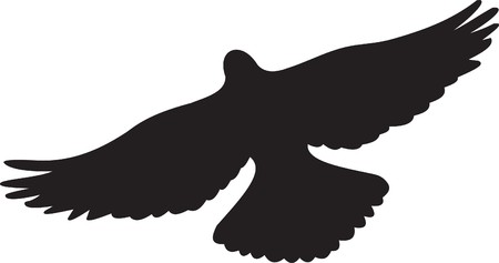 Dove のイラスト素材