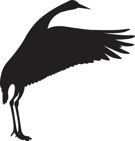 Bird のイラスト素材