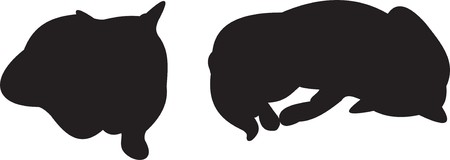 Cat  のイラスト素材