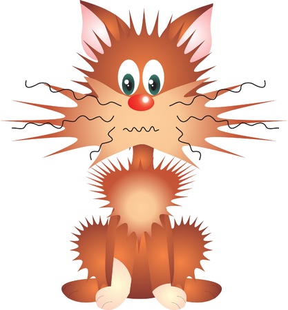 Cat vectorの写真素材