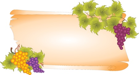 Blank vectorのイラスト素材