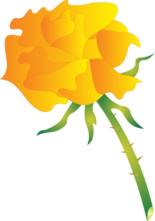 Rose vectorのイラスト素材