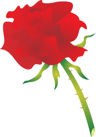 Rose vectorのイラスト素材