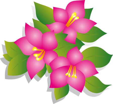 Flower vectorのイラスト素材