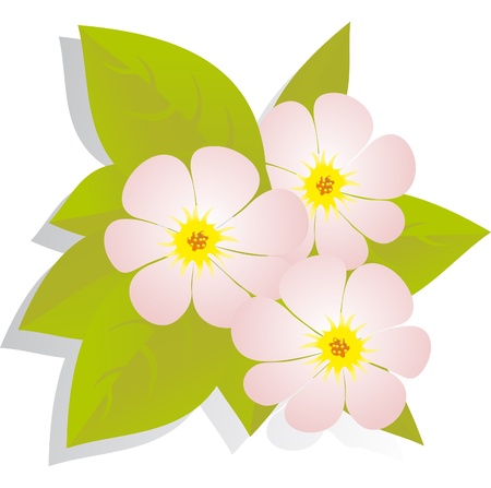 Flower vectorのイラスト素材