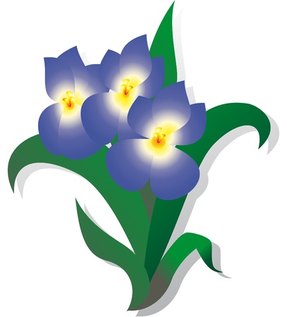 Flower vectorのイラスト素材