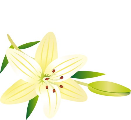 Flower vectorのイラスト素材