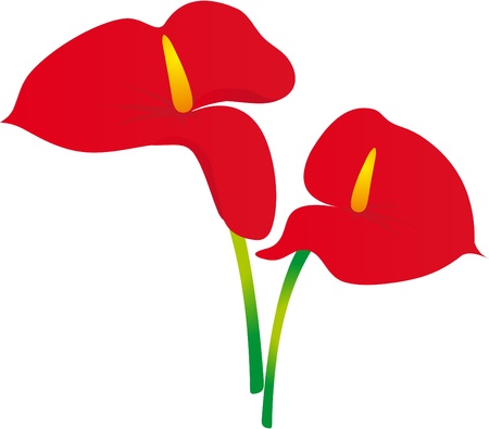 Flower vectorのイラスト素材