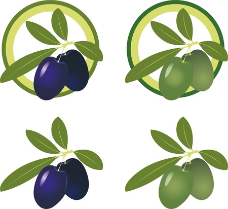 green and black olivesのイラスト素材