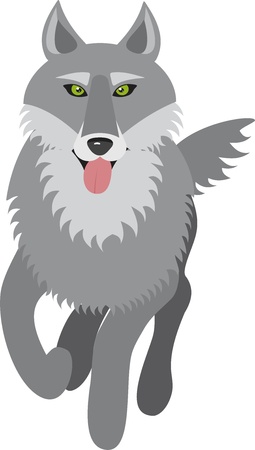  wolf illustration on white backgroundのイラスト素材