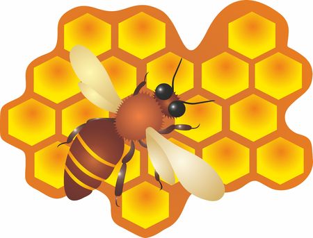 Bee And Honey Illustrationの写真素材