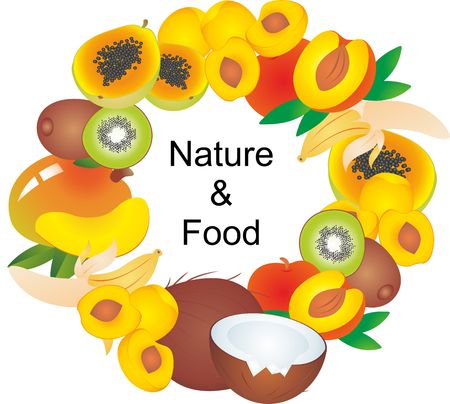 Set of cartoon food illustrations on white background. Exotic fruits.の写真素材