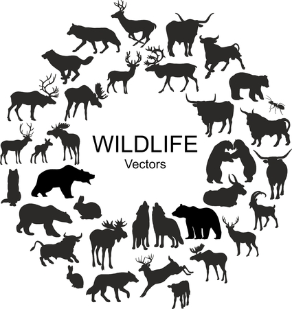 Collection of silhouettes of different species of wild animalsのイラスト素材