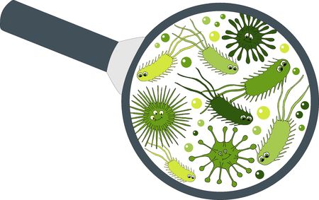 Bacterial microorganism in a magnifier. Bacteria and germs colorful set, micro-organisms, bacteria, viruses, fungi, protozoa under the rejuvenating glass. Raster Illustration on white backgroundの写真素材