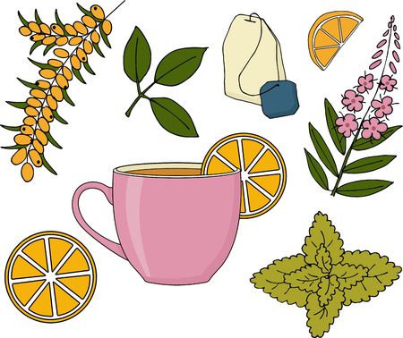 Herbal tea set. Herbal tea cup, plants and fruits raster Illustrationの写真素材