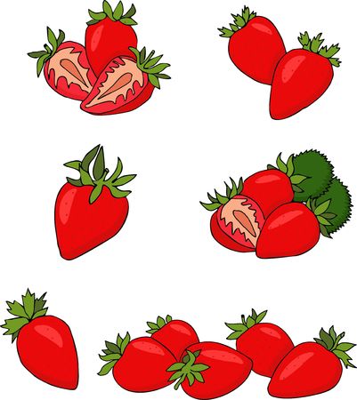 Strawberry fruit Raster Illustration on white background. Setの写真素材