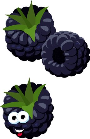 Blackberries. Group of two ripe blackberries with green leaves isolated on white background. Forest berry. Funny cartoon character illustration.の写真素材