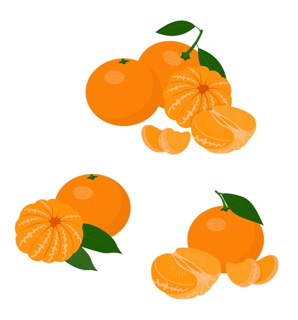 Mandarines, tangerine, clementine with leaves isolated on white background. Vector Illustration set on white backgroundのイラスト素材