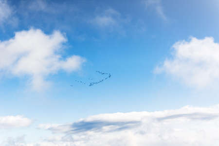 The crane key flies over the mountains. Blue skies and birds fly off to warmer regions. Fall. Intense blue. Clouds. Wild geese are migratingの写真素材
