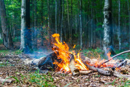 A made fire in the forest. Fire flames and sparks in nature. Leisure and camping. Summer, Autumn, Spring. Burning firewood and treesの写真素材