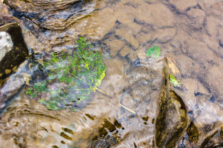 Water texture. Mountain river. Waves of green, blue and gray. Calm and tranquility. Nature. A park....