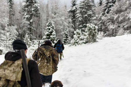 Hunting for wild animals with dogs. Far from civilization. Hunters are walking in heavy snow. Forest. Dogs on a leashの写真素材