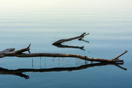 Complete calm on the water, in the sea, ocean, lake. Calm firs noticeable waves sparkle. The view...