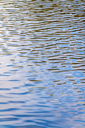 Complete calm on the water, in the sea, ocean, lake. Calm firs noticeable waves sparkle. The view...