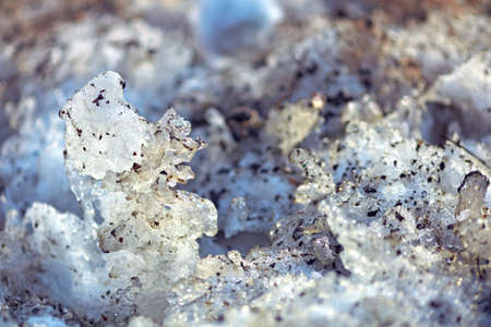 Melted snow glistening in the sun. Small crystals are soiled with dirt. Spring has comeの写真素材