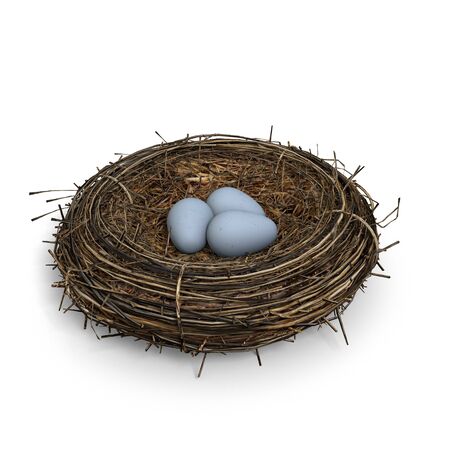 3d illustration of a bird nestの写真素材