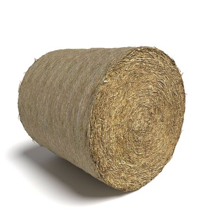 3d illustration of a hay baleの写真素材
