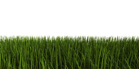 3d illustration of grassの写真素材