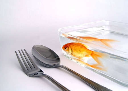 GoldFishの写真素材