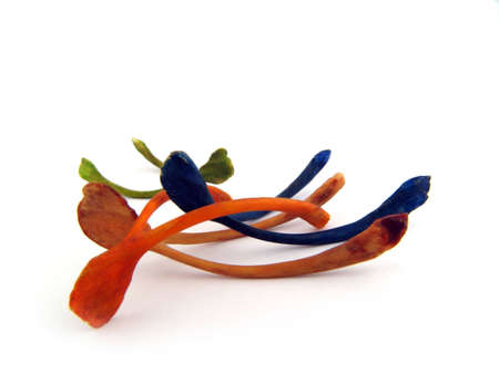 wishboneの写真素材