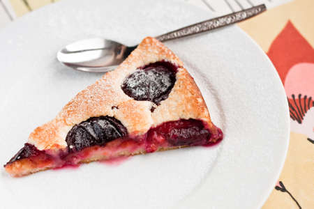 Piece of plum pieの写真素材
