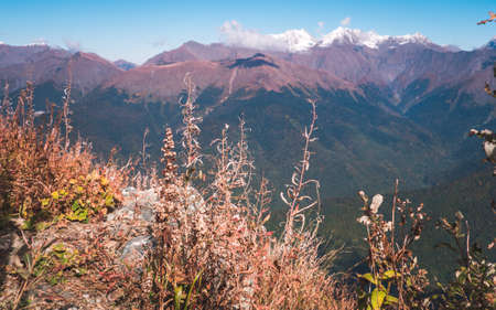 Dry autumn plants on rocks in foreground and beautiful Caucasus mountains in blue haze in background in Krasnaya Polyana near Sochi, Russiaの写真素材