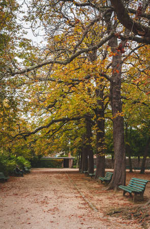Quiet alley of Thabor gardens of Rennes, one of France's most beautiful public parks, in autumnの写真素材