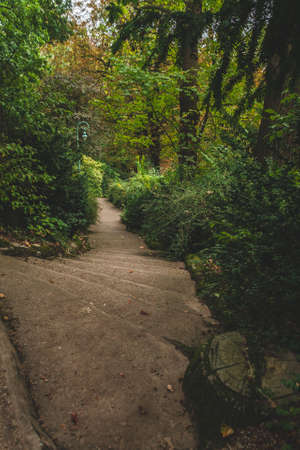 Isolated quiet abandoned staircase in lush greenery of park in summerの写真素材