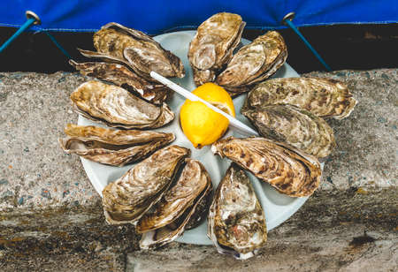 Dozen of big oysters served on plate with whole lemon cut with plastic knife outdoors