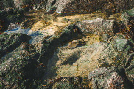 Natural pools of water on a sunny day in rocks covered with green mossの写真素材