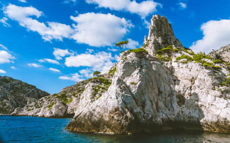 White cliffs of Massif des Calanques covered with pine trees in Cassis, France