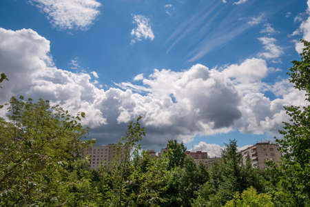 Green trees against white fluffy cumulus clouds in bright blue sky in cityの写真素材