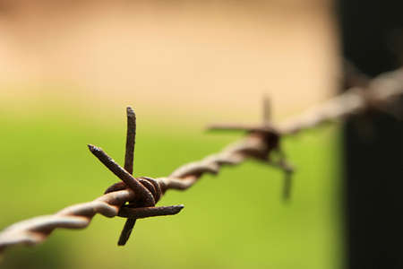 A close-up picture of some razor-wire on an old military farm in South-Africa