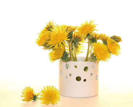 Dandelion; flowers; vase; white; bouquet; spring; pleasure; light; flower; yellowの写真素材